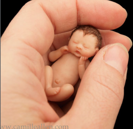 Koemi, a tiny sculpted newborn with dark hair cradled in a cupped hand
